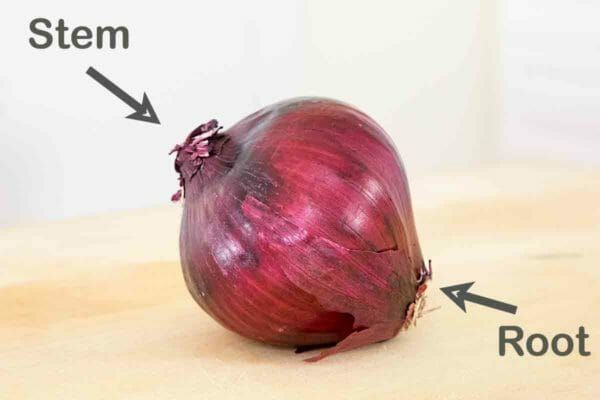 stem-end-root-end-method-1-600x400