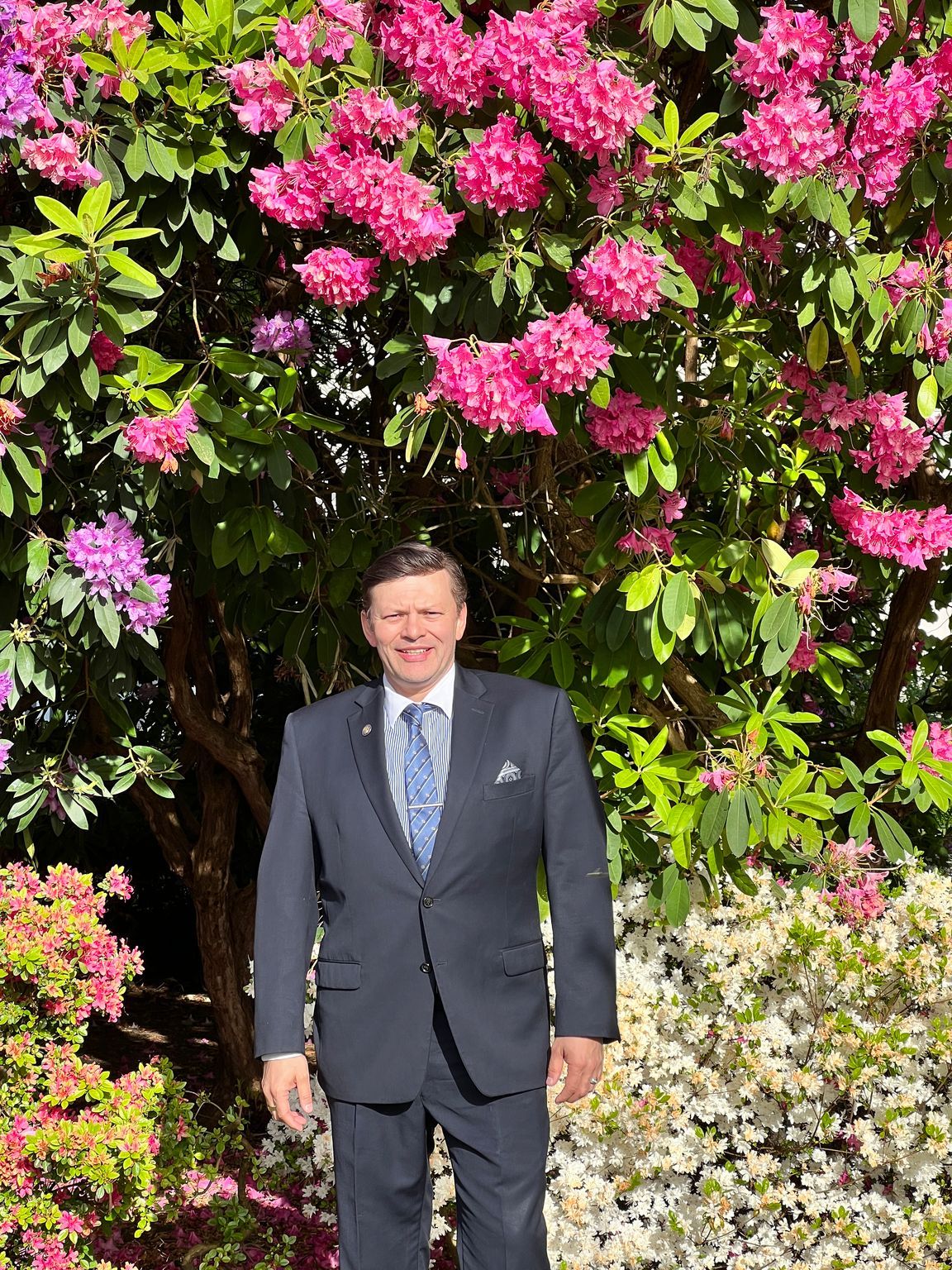 A person in a suit standing under a tree with pink flowers Description automatically generated