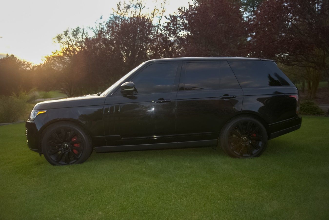 A black car parked on a grassy field Description automatically generated