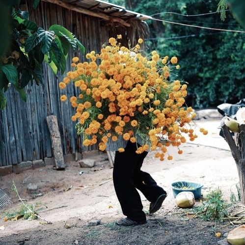 This (real) photo by artist Pia Riverola shows a huge bushel of flowers, one of the telltale signs of an AI-generated image—and immediately looks fake to me.