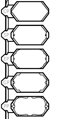 A narrow region with five vertically stacked bubbles, labeled from top to bottom: CP, SP, EP, GP, and PP.