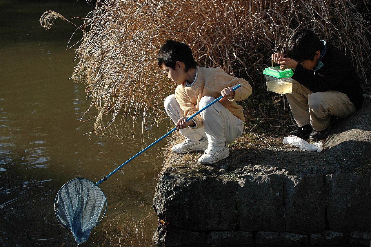 Two young Japanese boys are fishing by a river. One has a net on a stick, and one has a small hand-held aquarium.