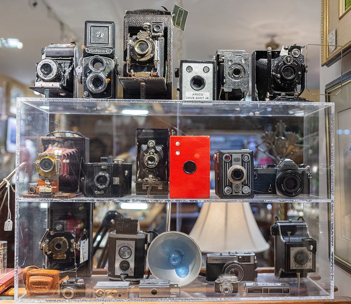 A dozen or so large film cameras on shelves in a glass case.