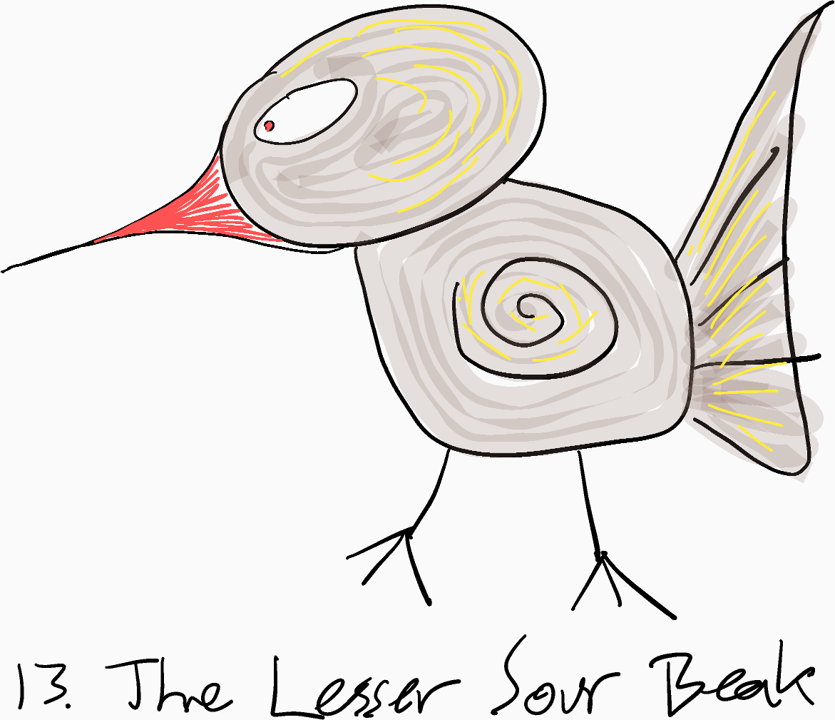 A doodle of a weird brown bird with a skinny red beak, captioned “13. The Lesser Sour Beak.”