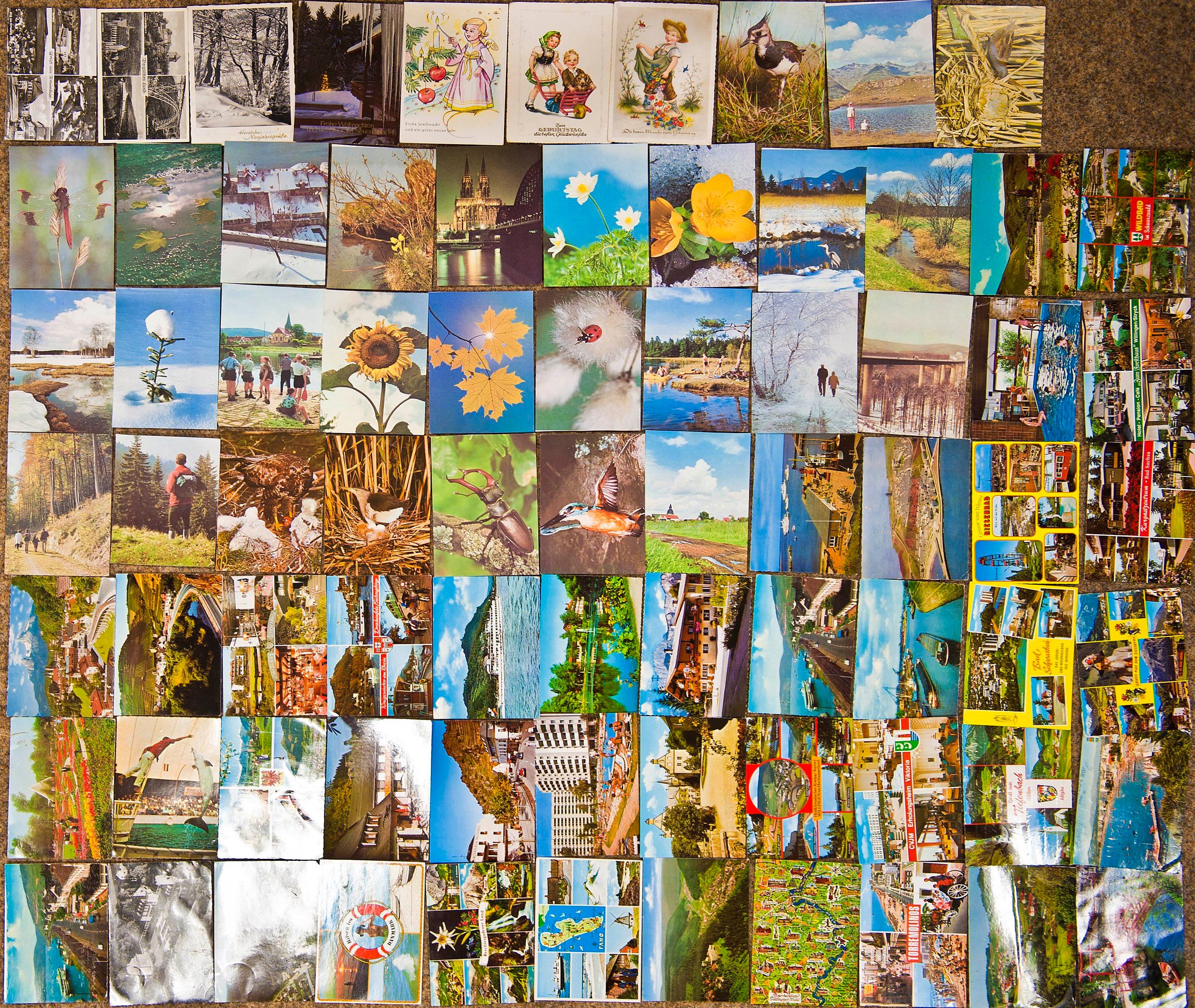 An 11 by 7 grid of vintage postcards showing wildlife, landscapes, and other illustrations.