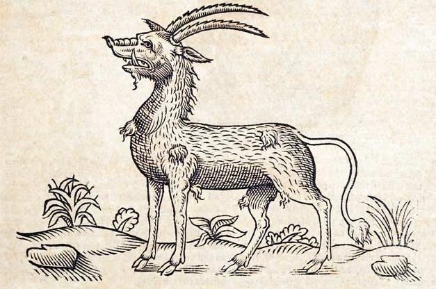 A woodcut style depiction of what is ostensibly an antelope, on a parchment background. It has a long tail with a tuft at the end, short tusks on the bottom of its mouth, odd mangy tufts of hair, and two curved serrated horns.