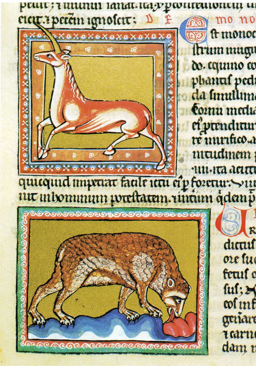 A page from a medieval illuminated manuscript with illustrations of a strange-looking unicorn and an even-stranger looking cat with a somewhat human face, licking something red.