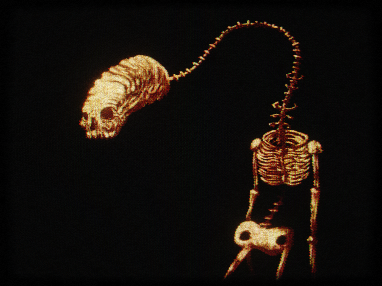 Long Skeleton