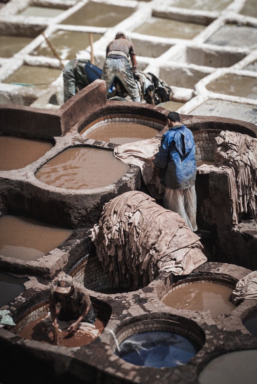 Working in the Chouara Tannery in Fez