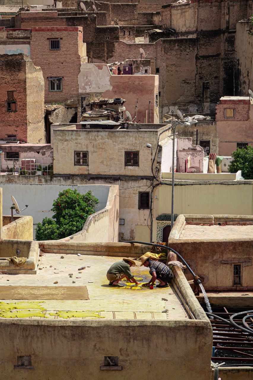 On the roofs around the Chouara Tannery