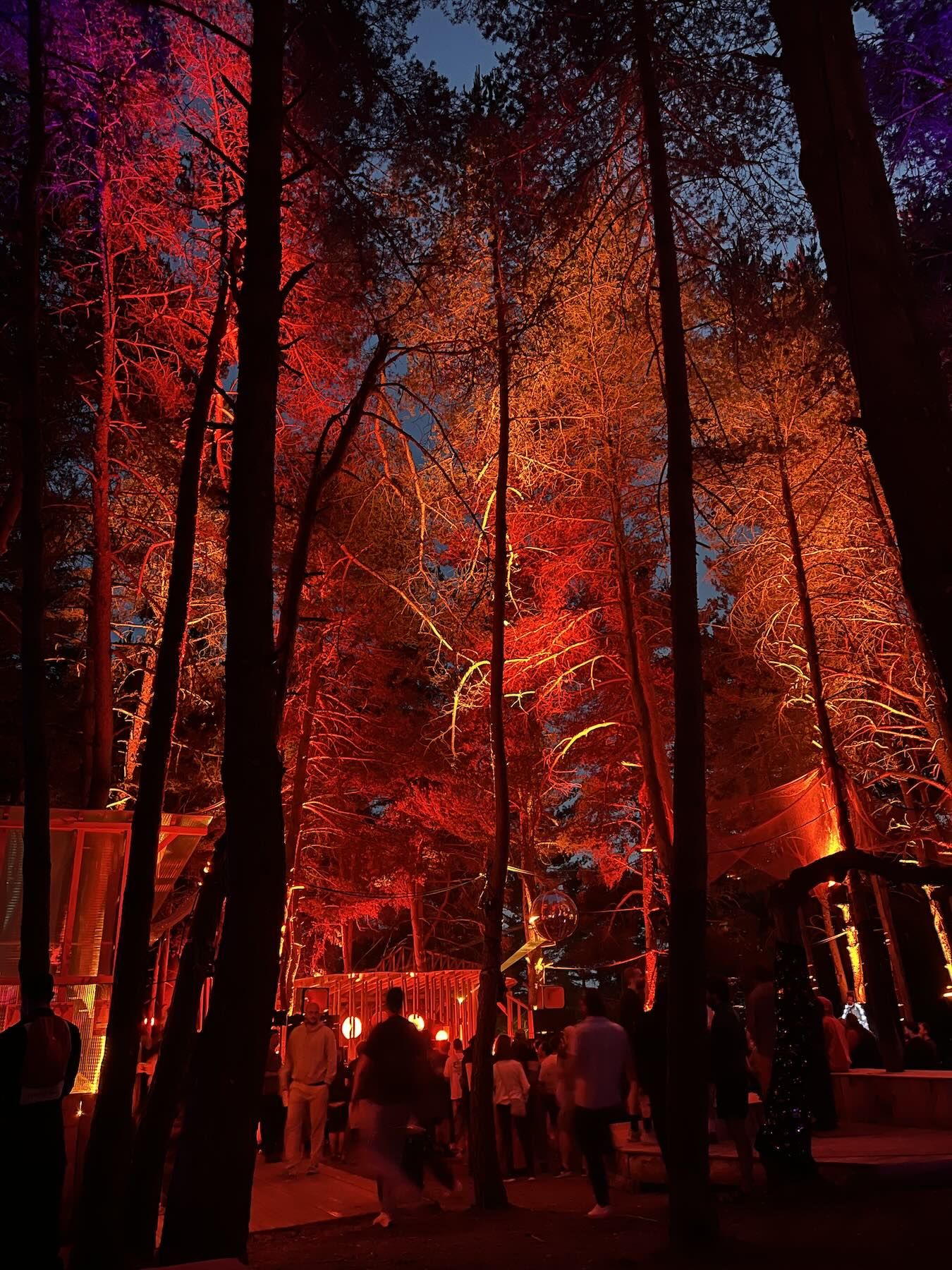 Festival Le Chant des Oiseaux