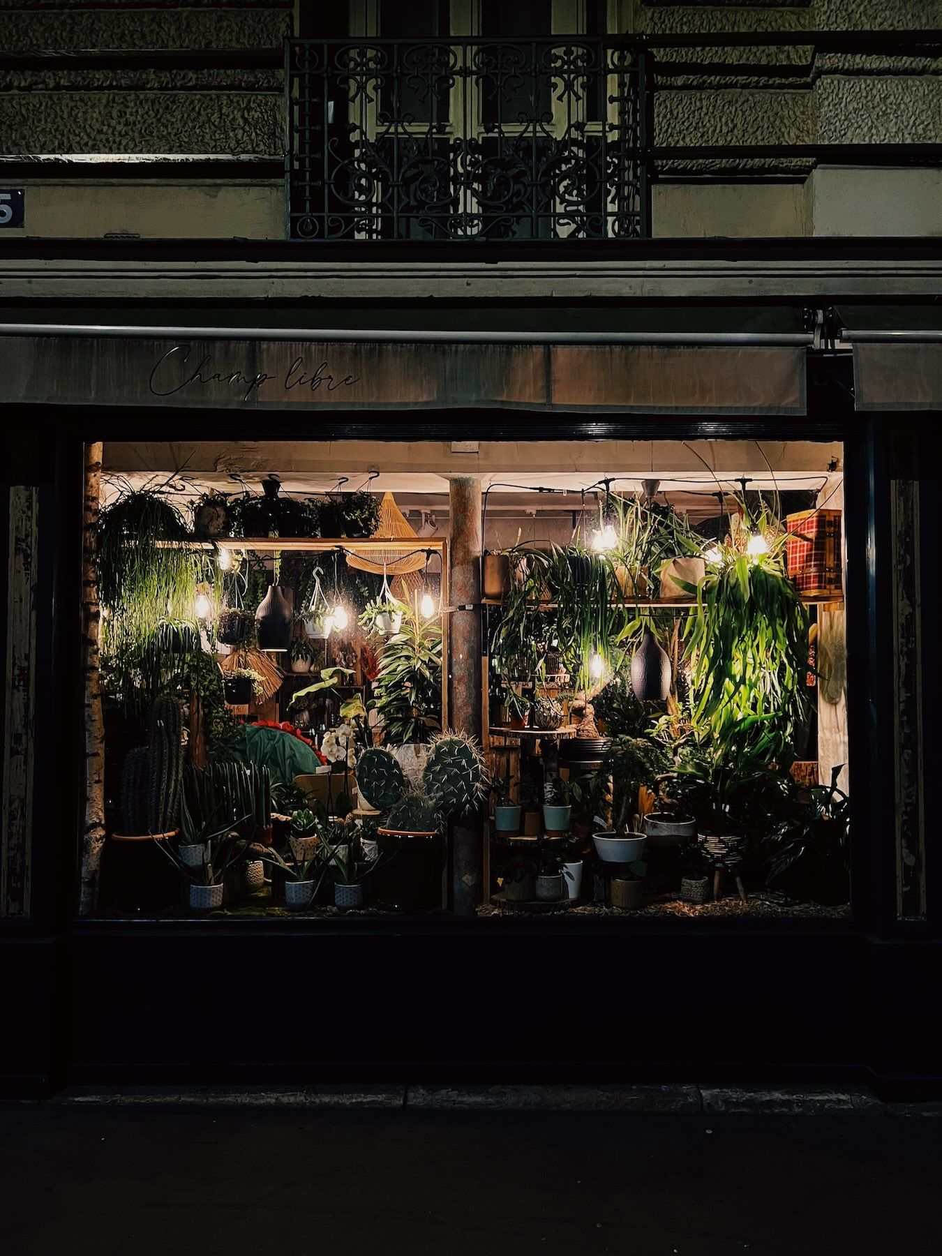 Passage de la Bonne Graine, Paris