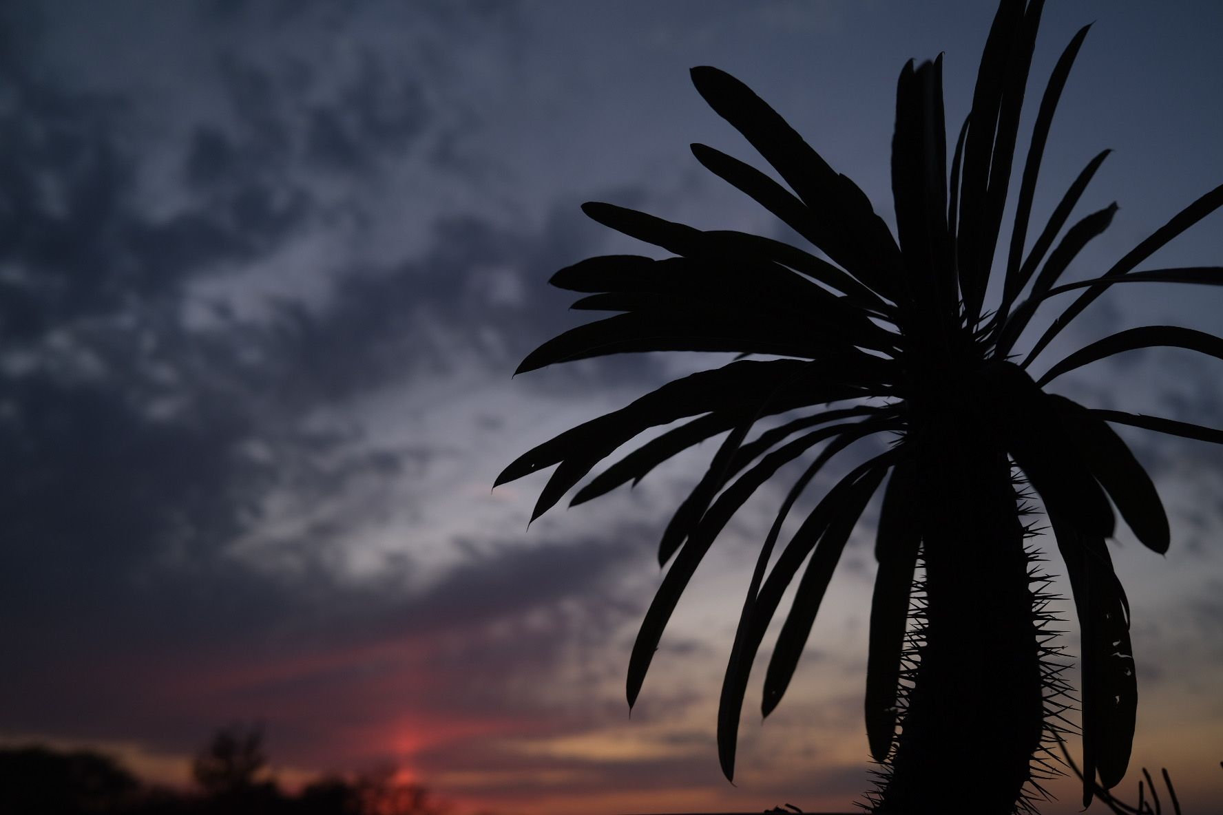 Office window at sunset