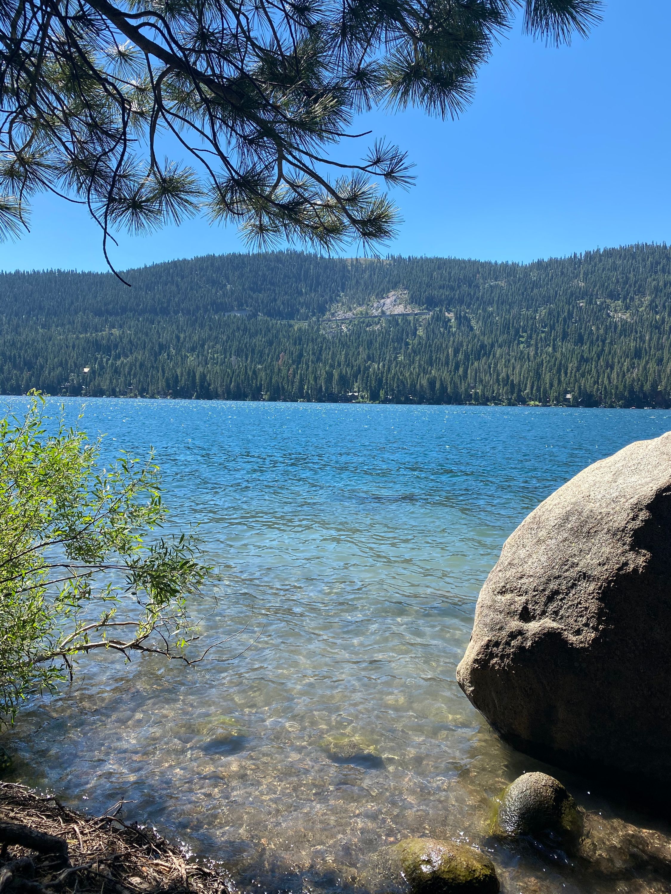 donner lake mood