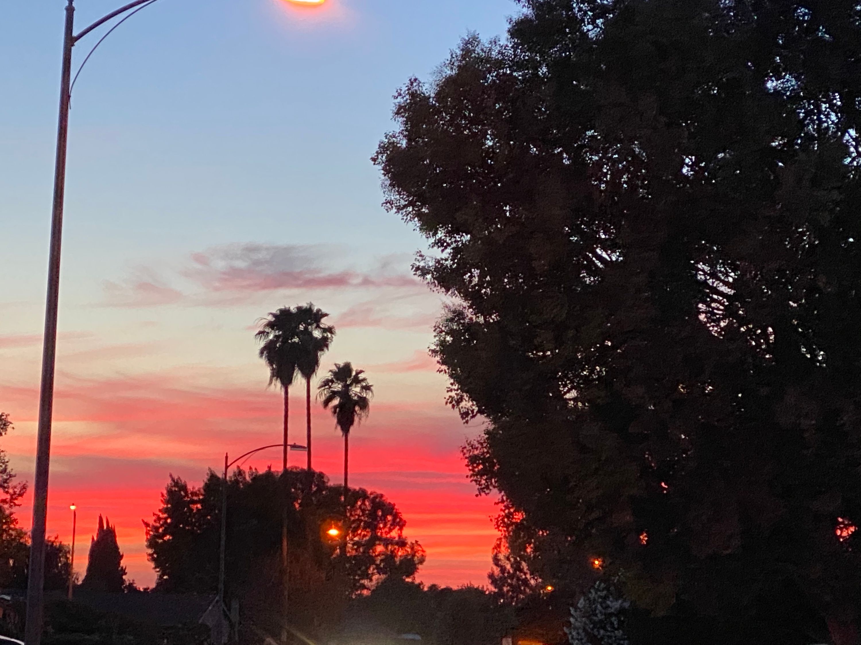 california sunset