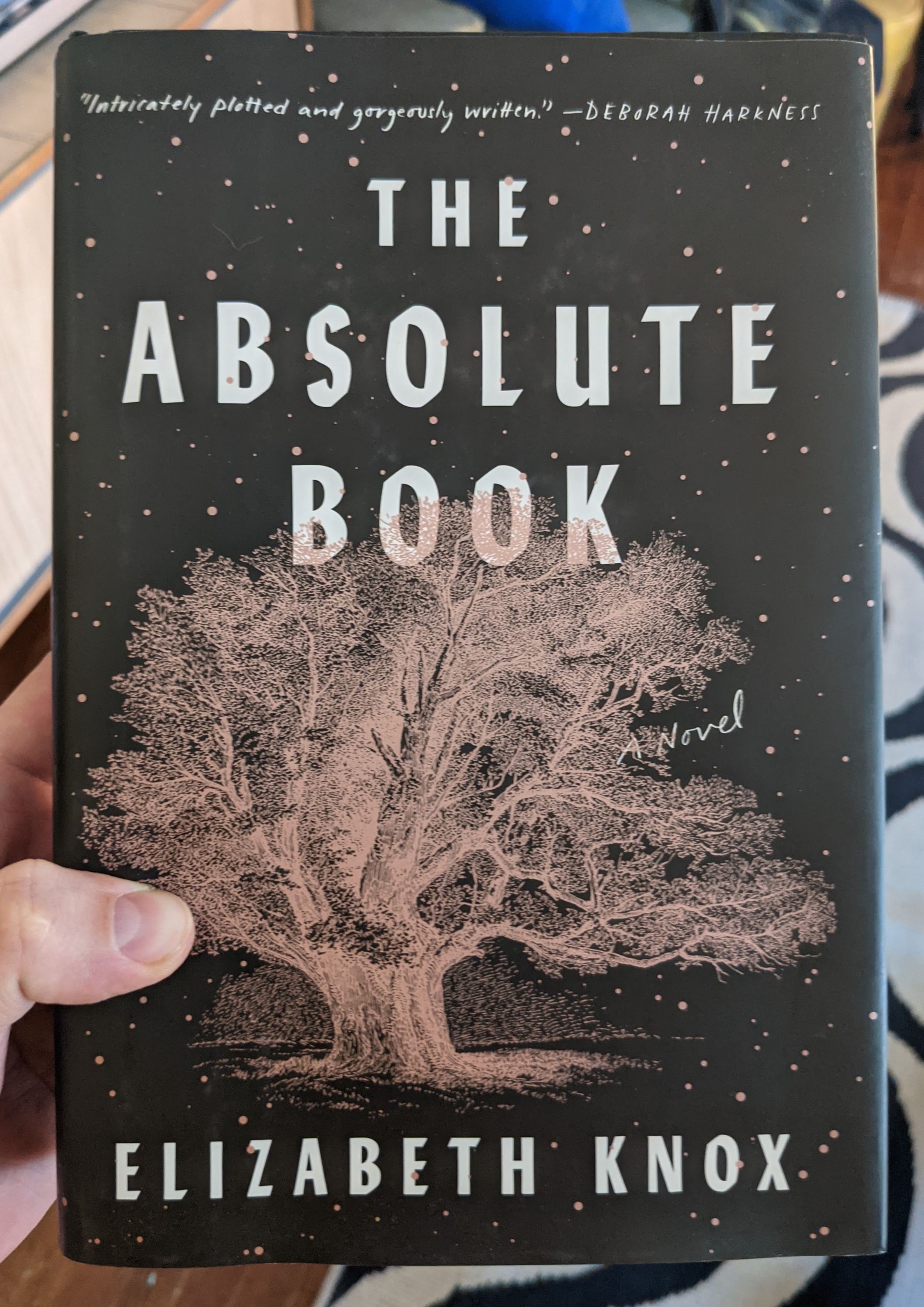 Cover of The Absolute Book by Elizabeth Knox