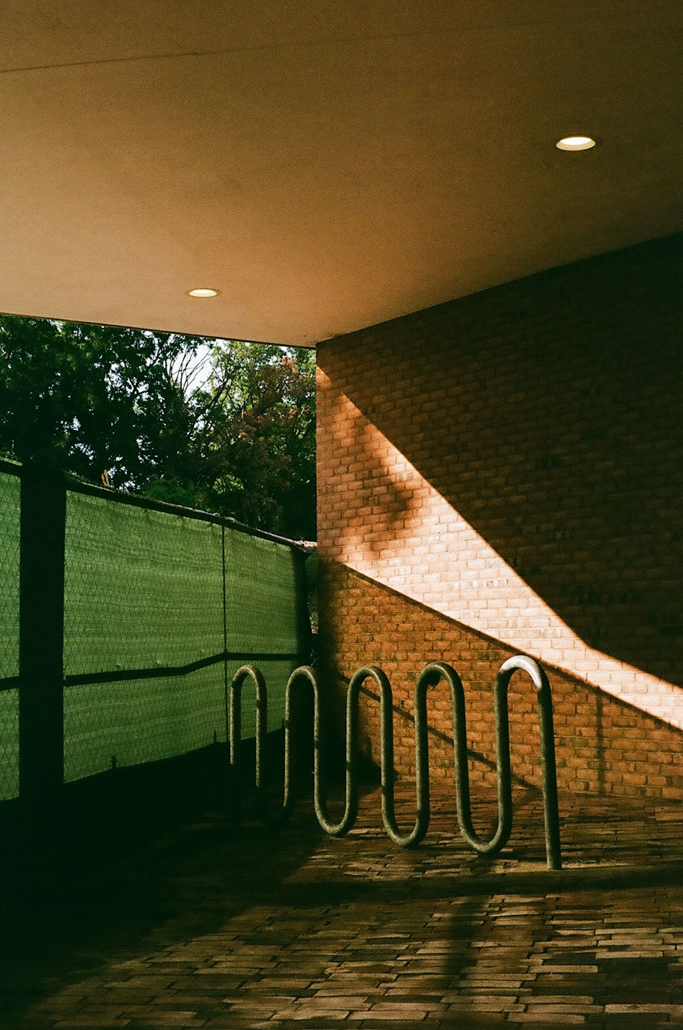 000081630010