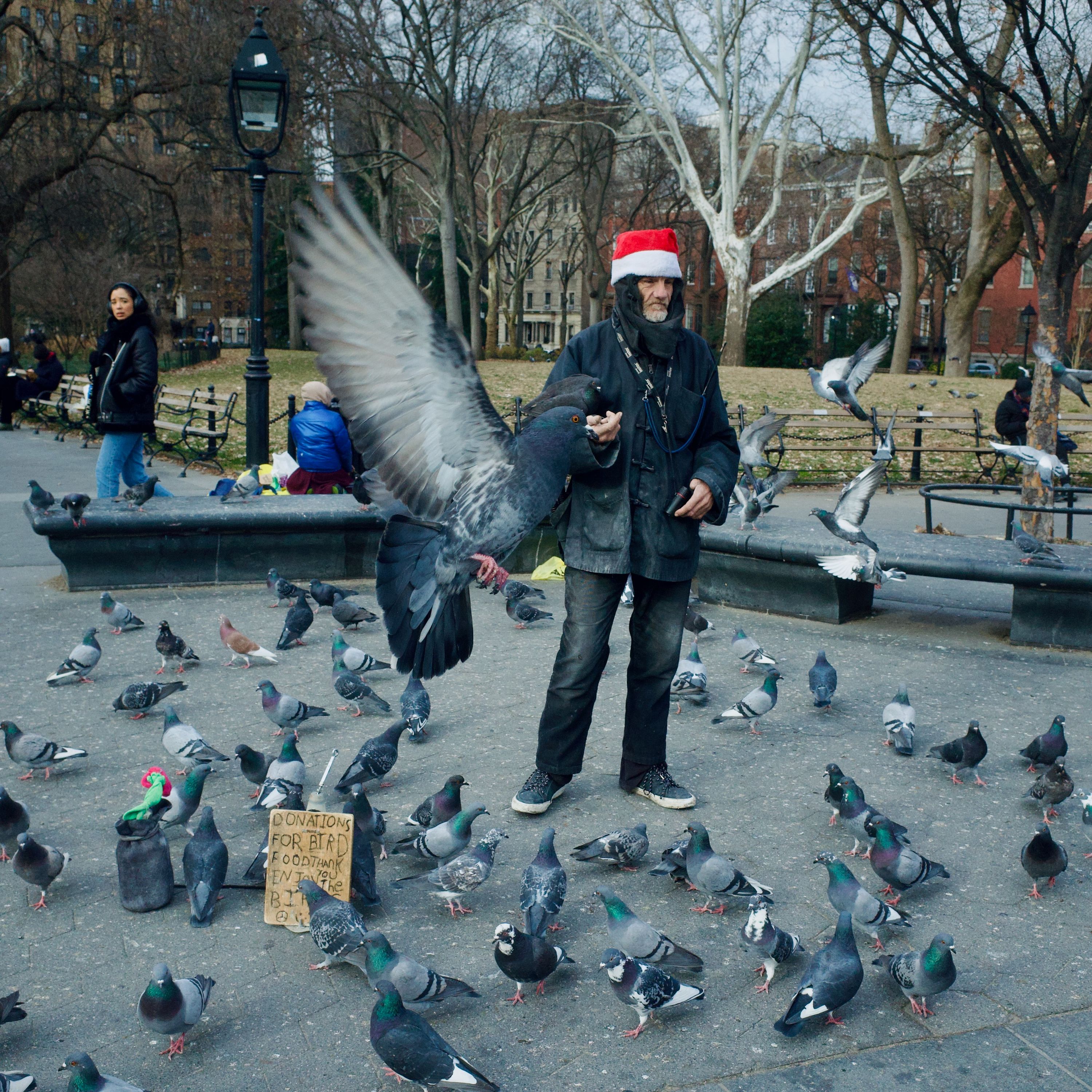 nyc-pigeon-man-washington-square-park