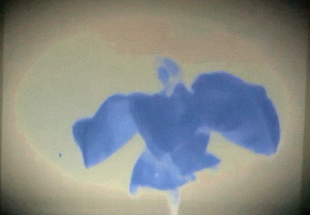 Clip from Matt Barry’s remixing of Alice Guy-Blaché’s “Serpentine Dance”