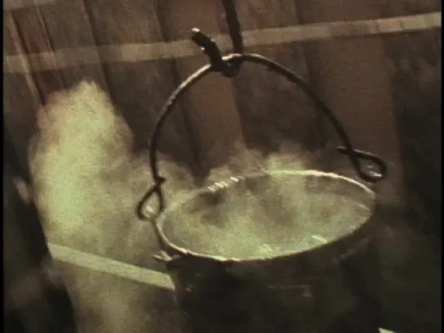 tar guys (2006) - 5 min, S-8 film to DV, featuring poetry by Cathy Cook