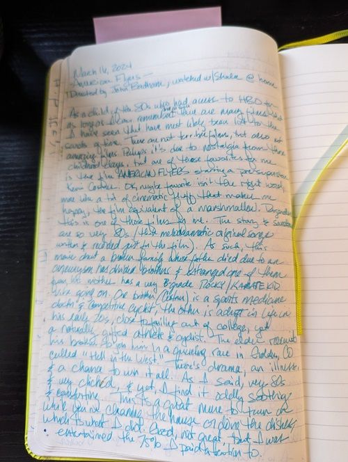 Film journal entry for AMERICAN FLYERS