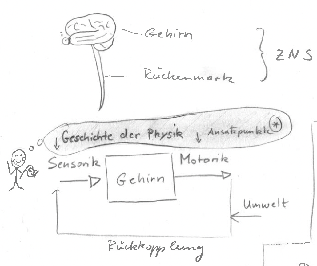 Das Gehirn und die Geschichte der Physik