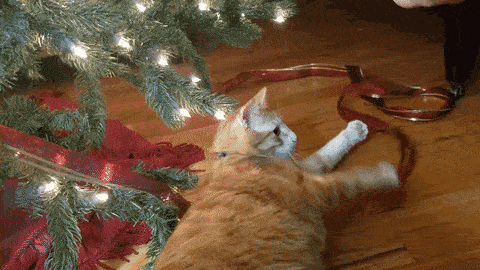 Me @ Christmas
