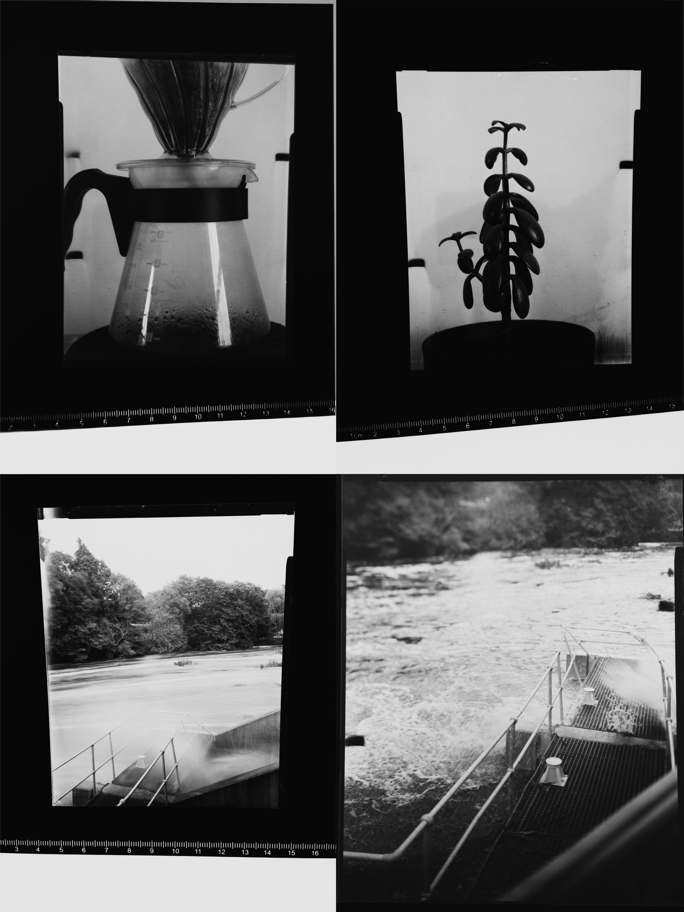 Second outing negatives with mistakes