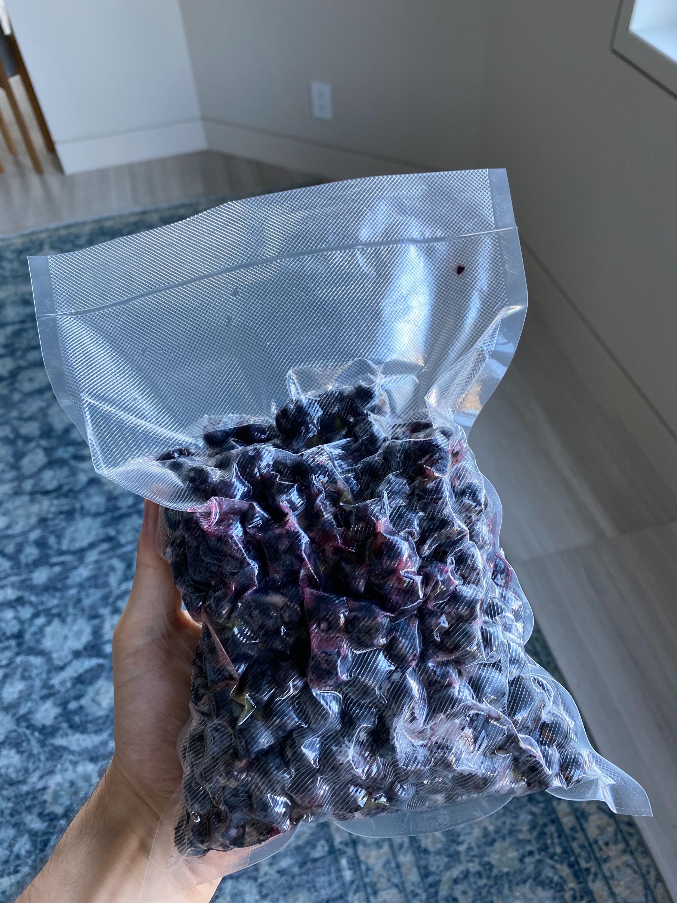 A vacuum-sealed bag of blueberries