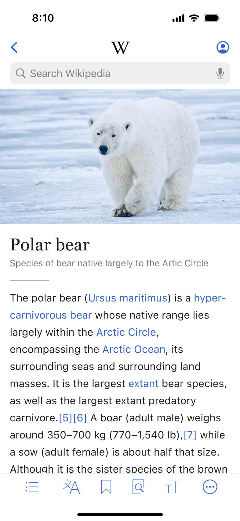 Variant B: Prominent search bar