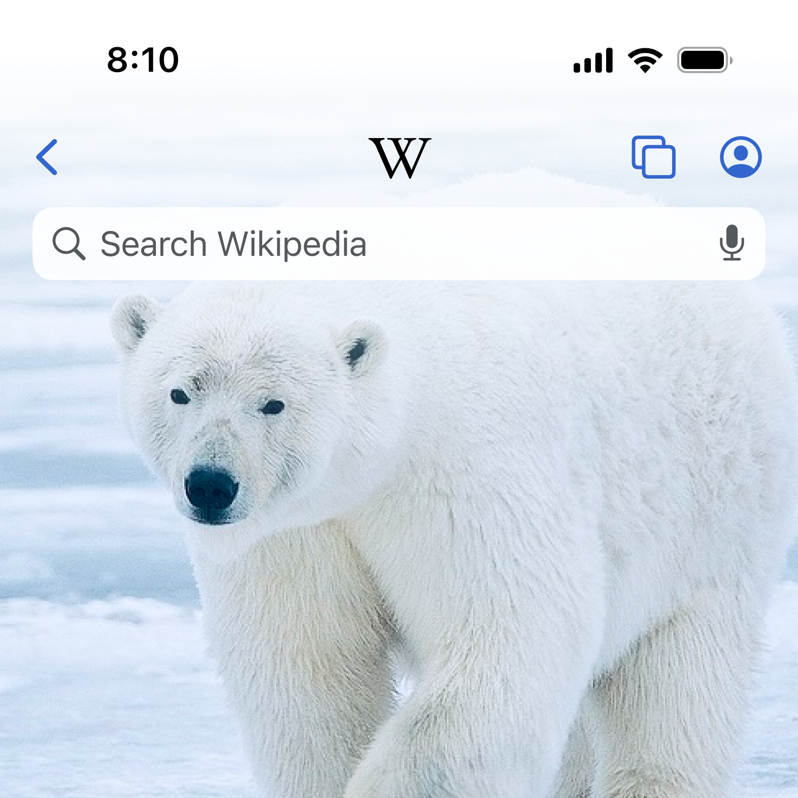 One of dozens visual explorations for the redesign
