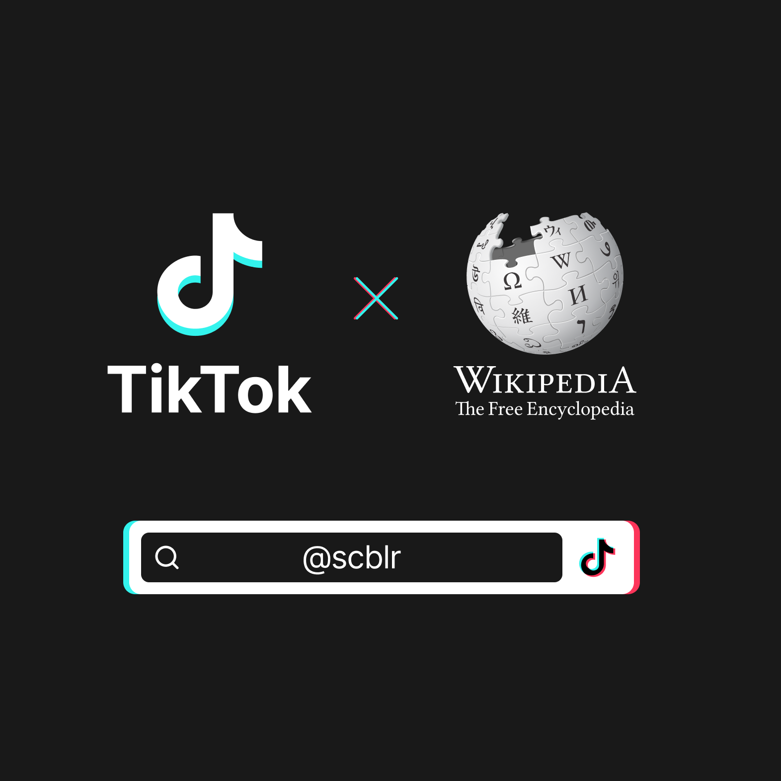 Wikipedia x TikTok speculative design concepts