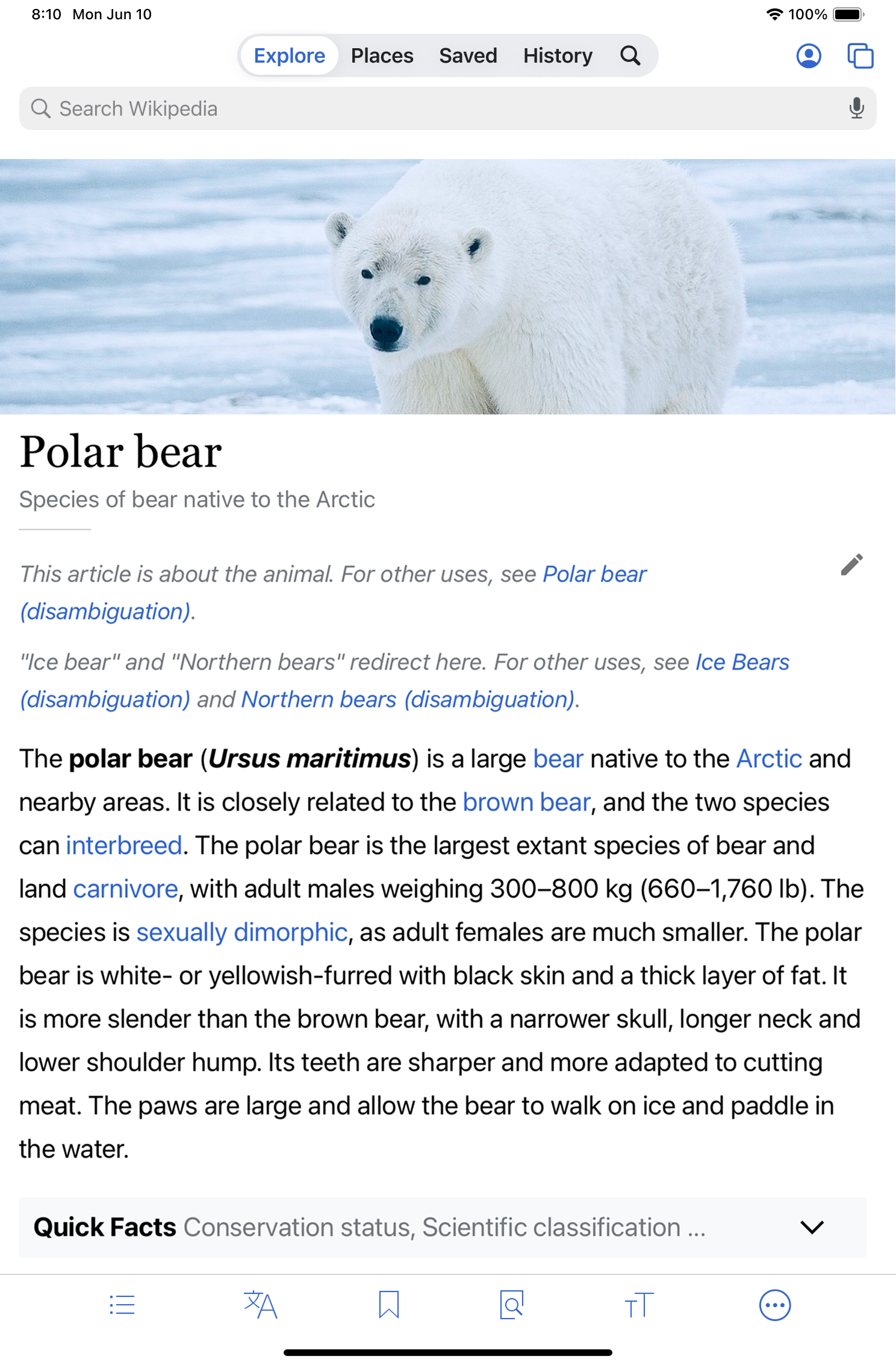 iPad article page
