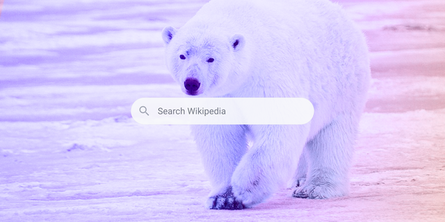 Search for Wikipedia – In search of the perfect search for Wikipedia