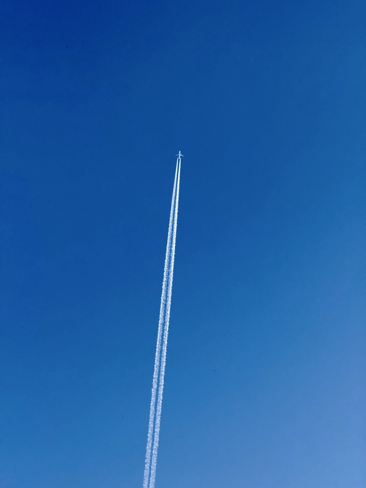 FOLK SYSTEMS 22