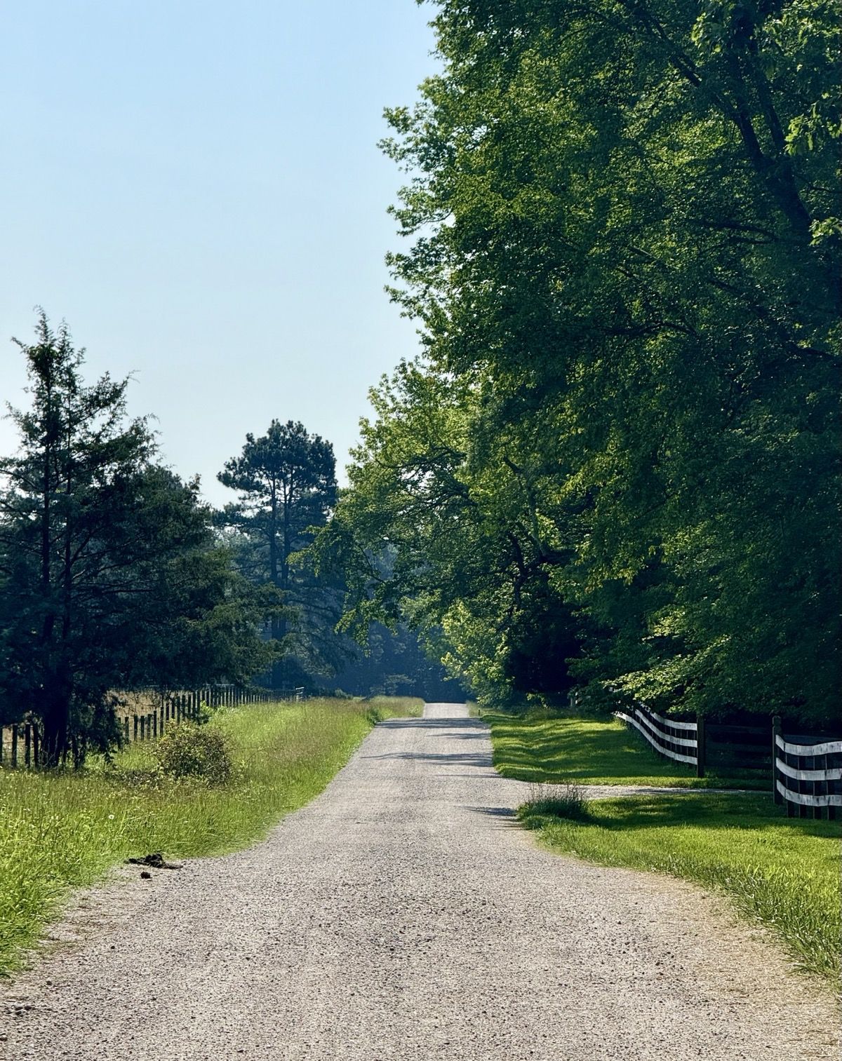 ROAD AHEAD