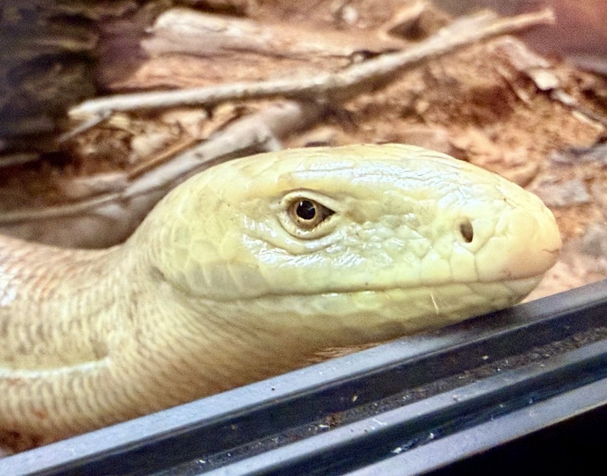 SUP