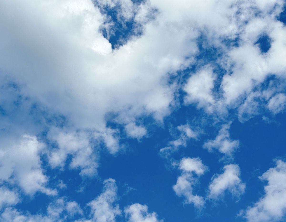 BLUE CONDITION