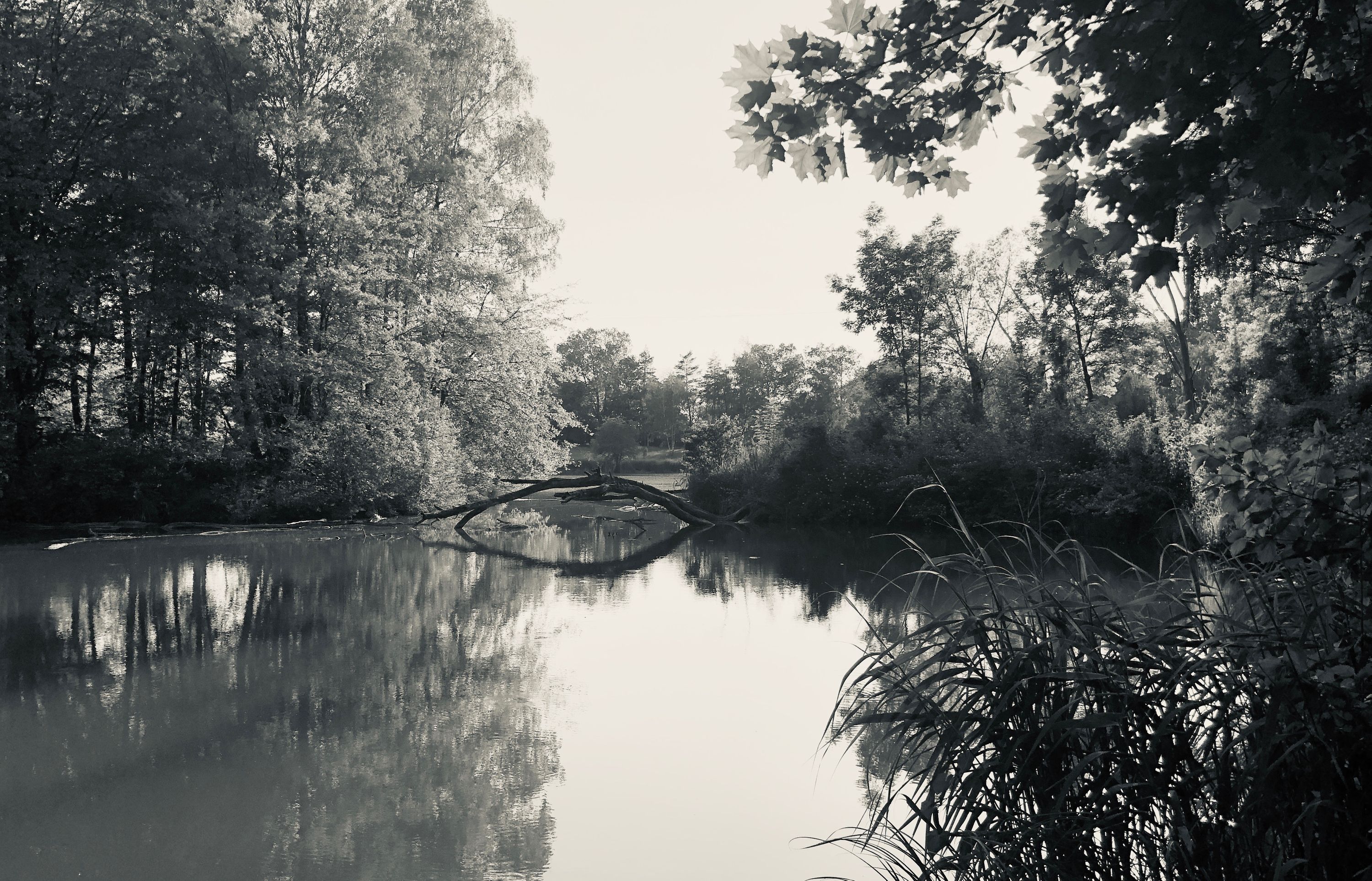 europaweiher
