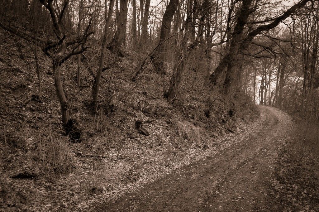 Waldweg