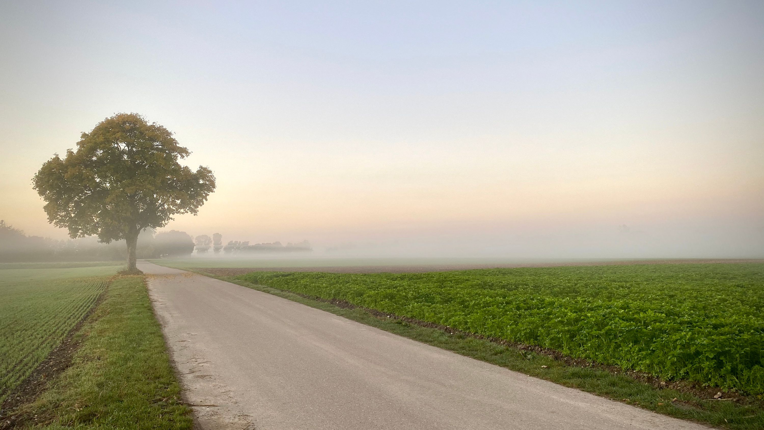 Kamera: iPhone 11 Pro Max - 26 mm