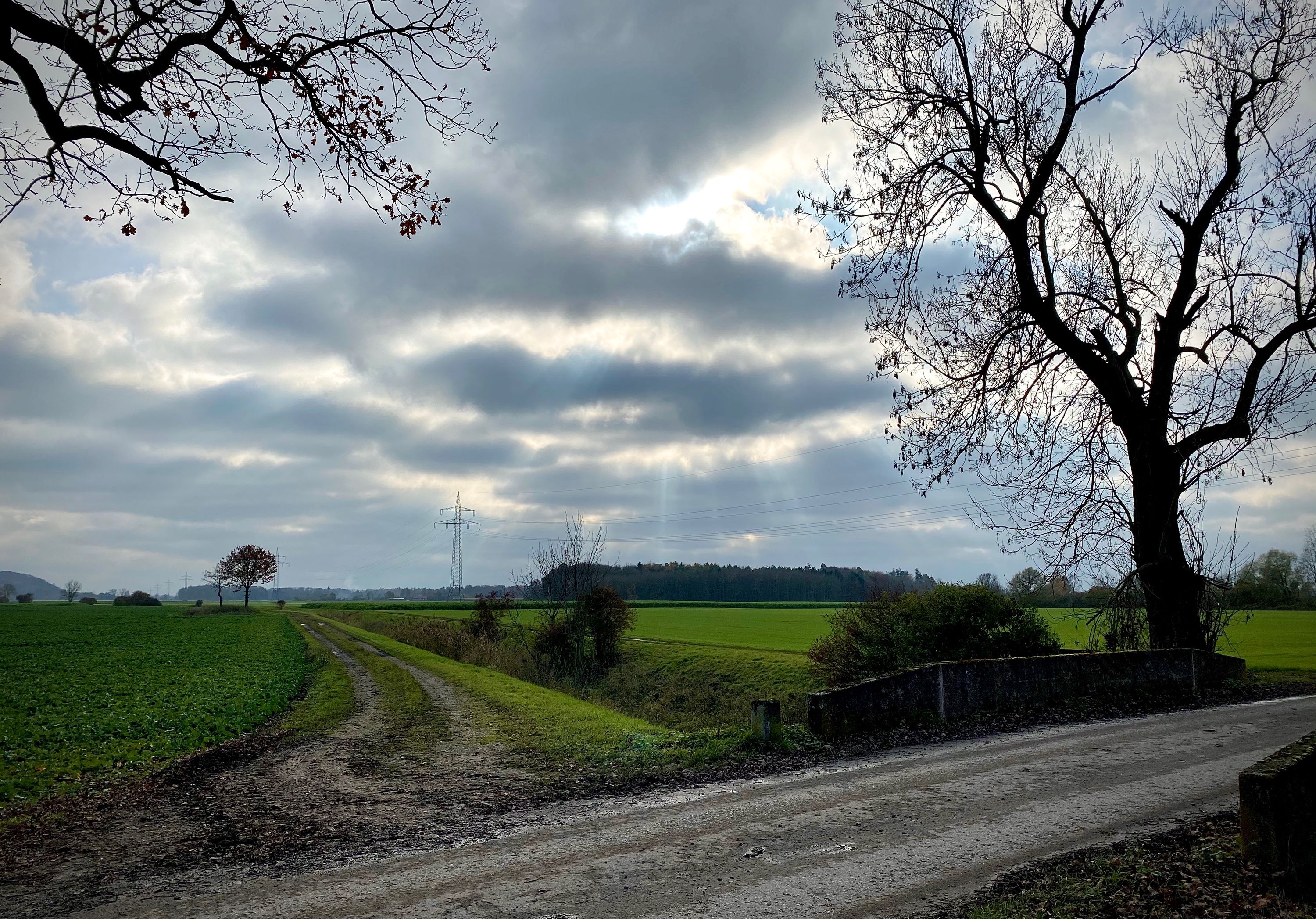 Sonnenstrahlen
