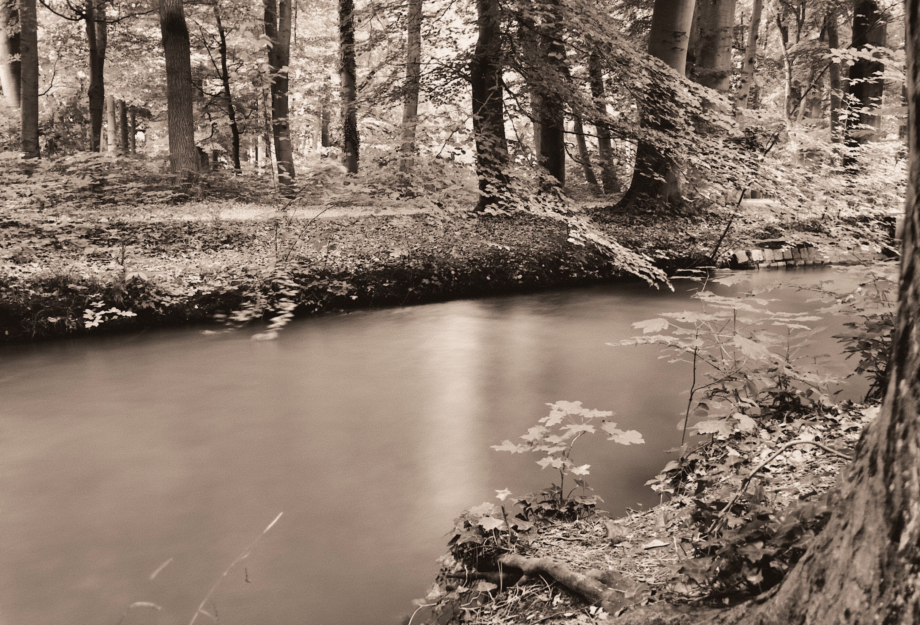 Siebenbrunner Bach (sw)