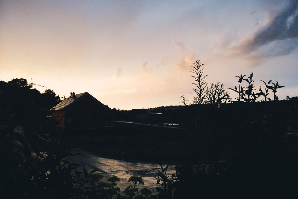 Guten Morgen
