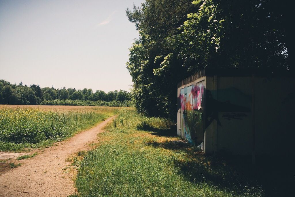 bunt