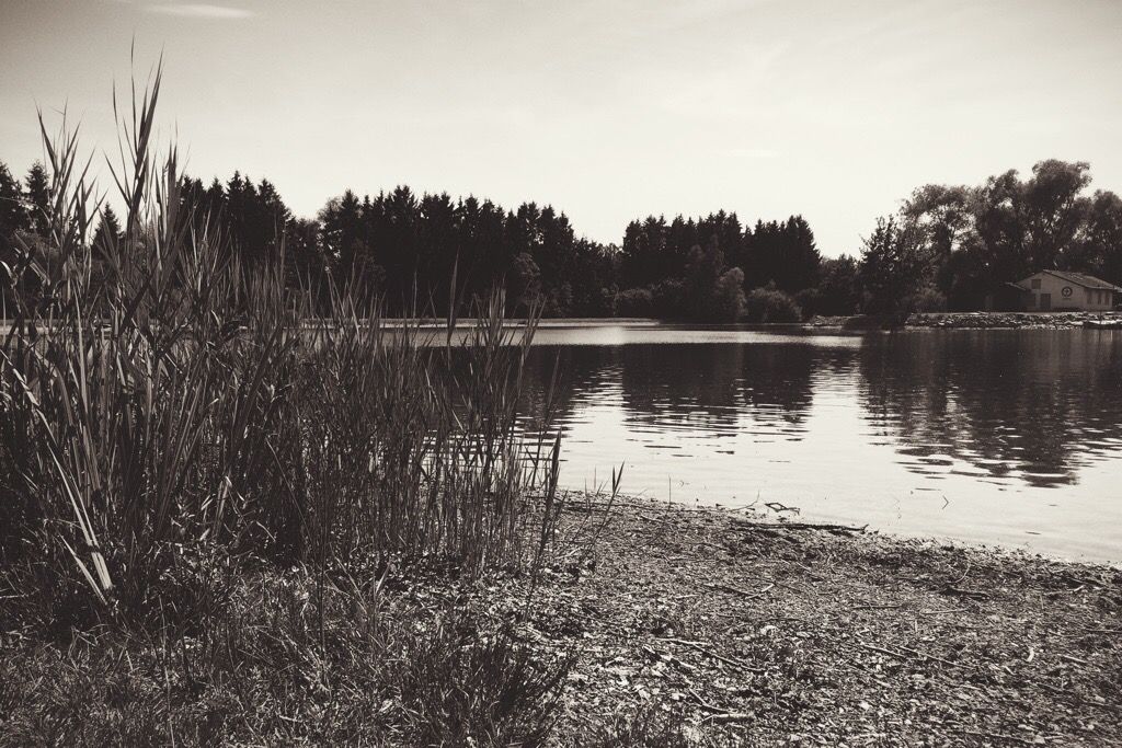 20140623-211027-76227779.jpg
