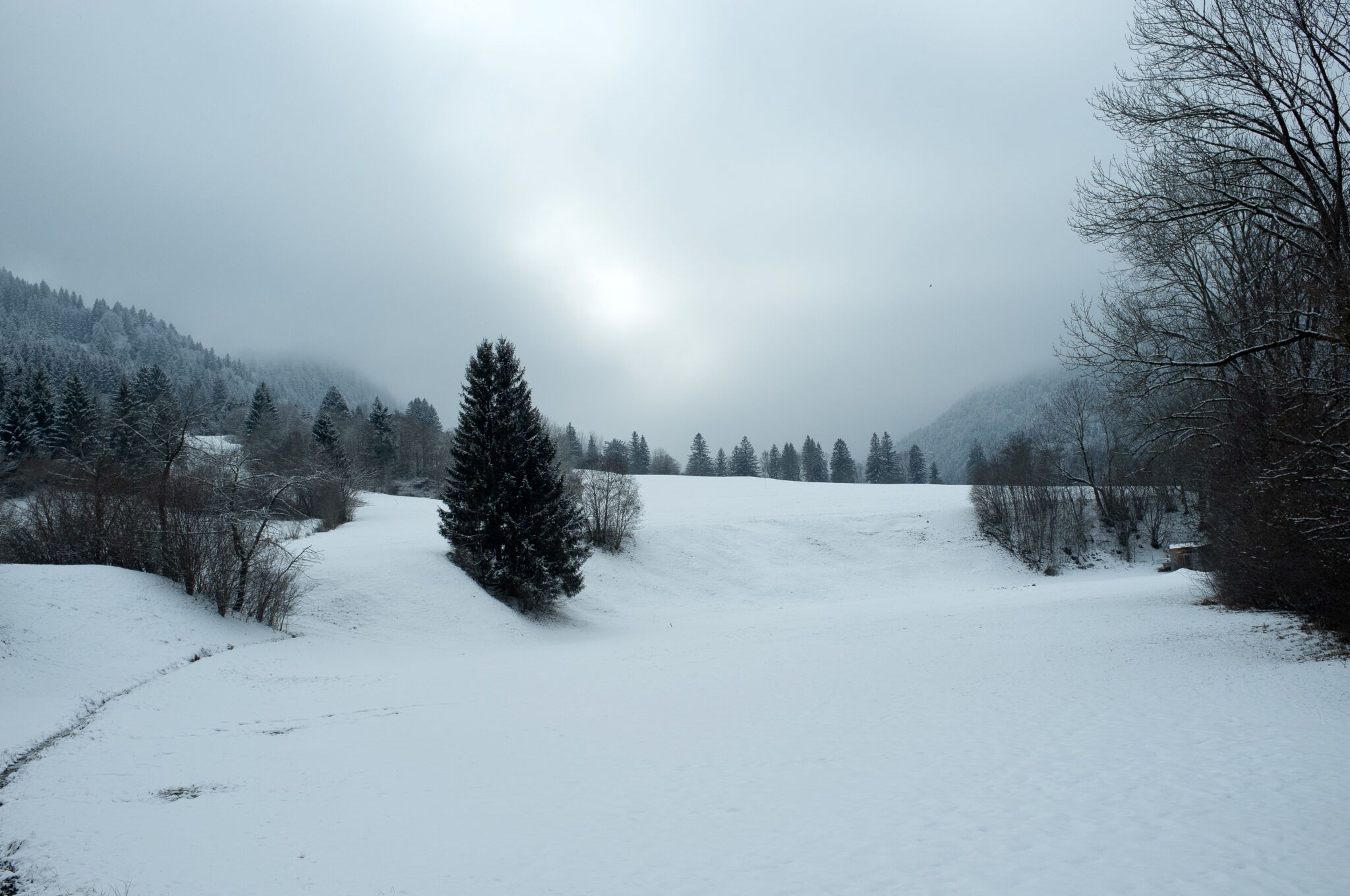 Allgäu