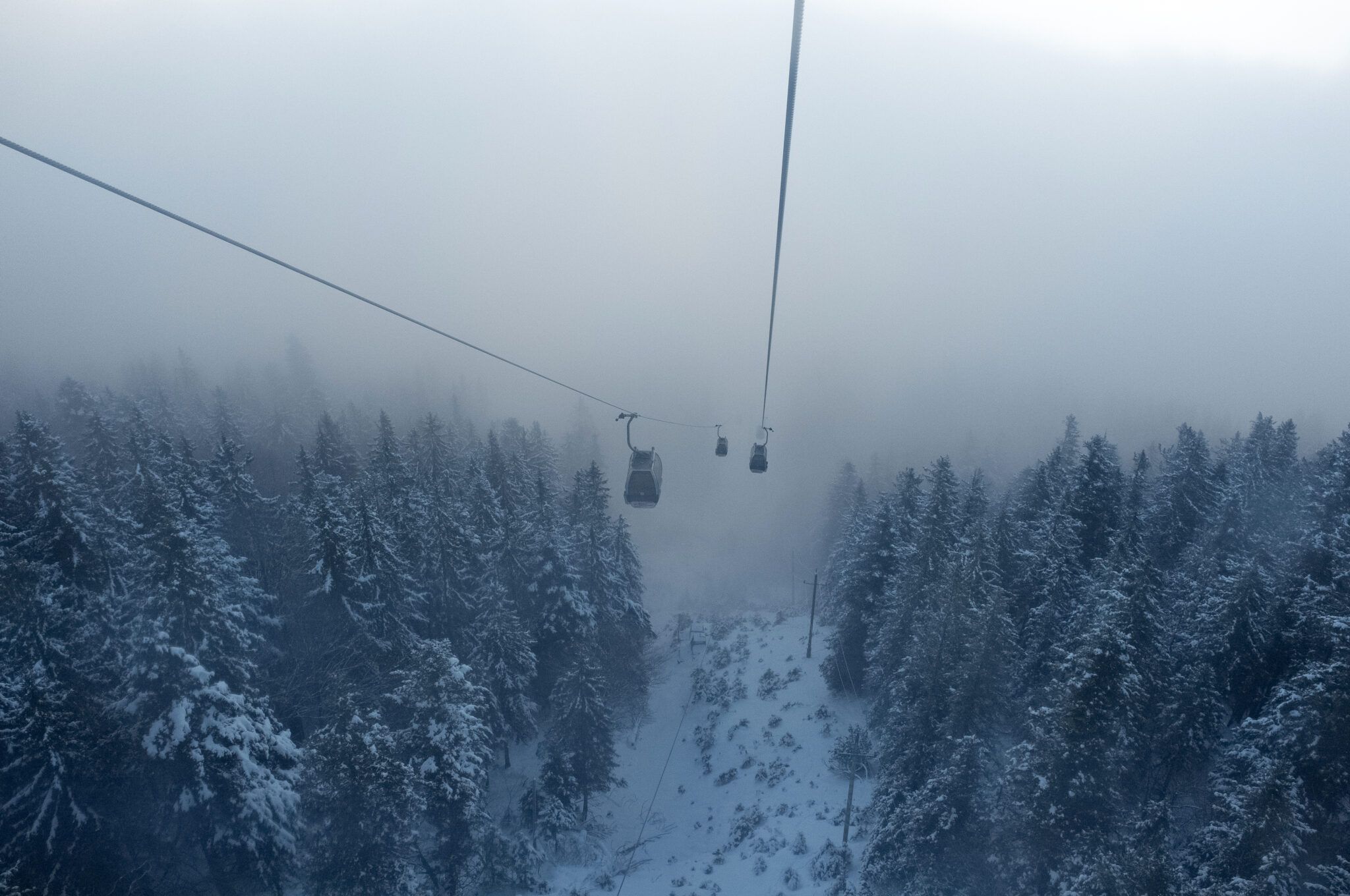 Allgäu