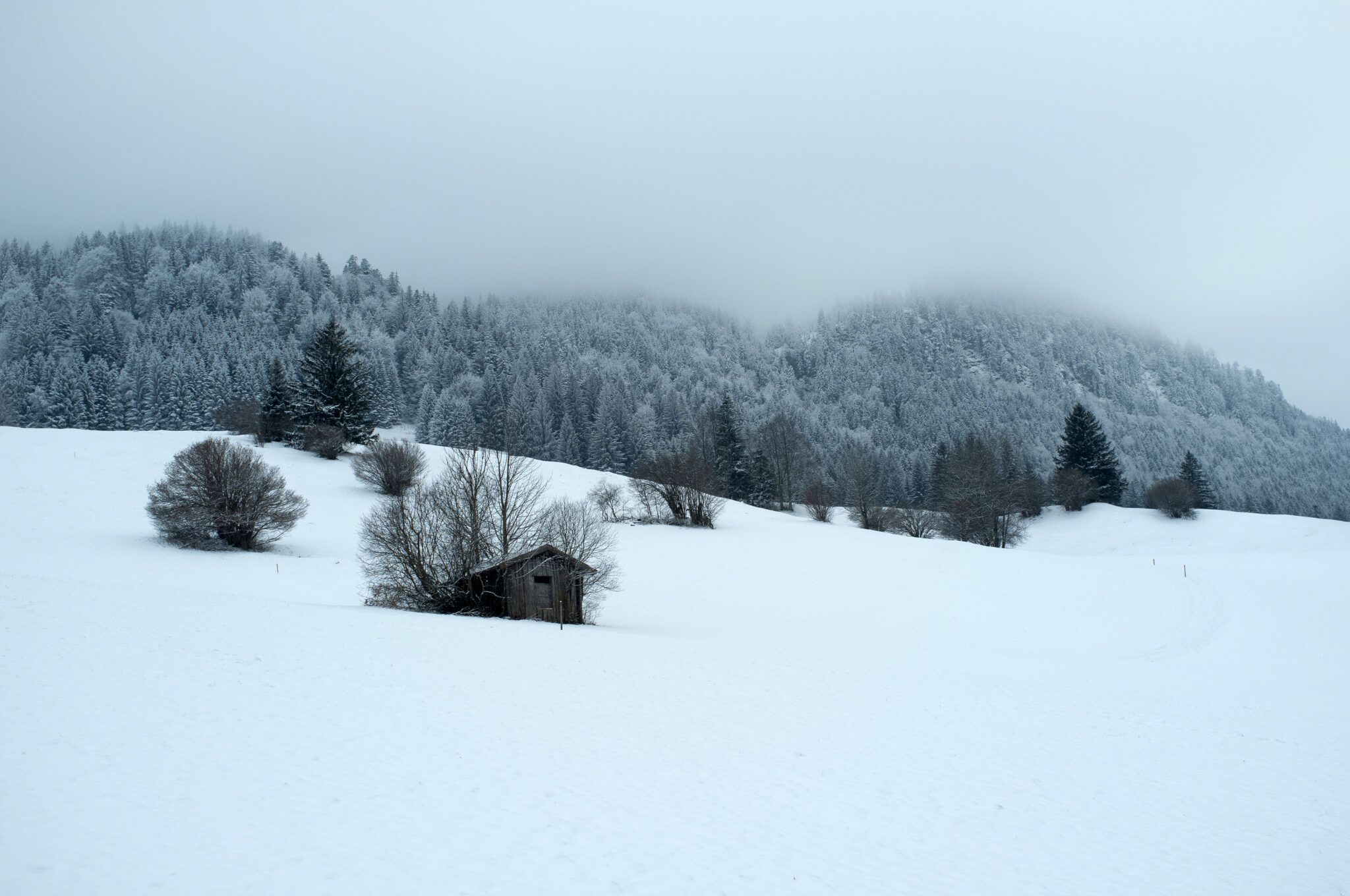 Allgäu
