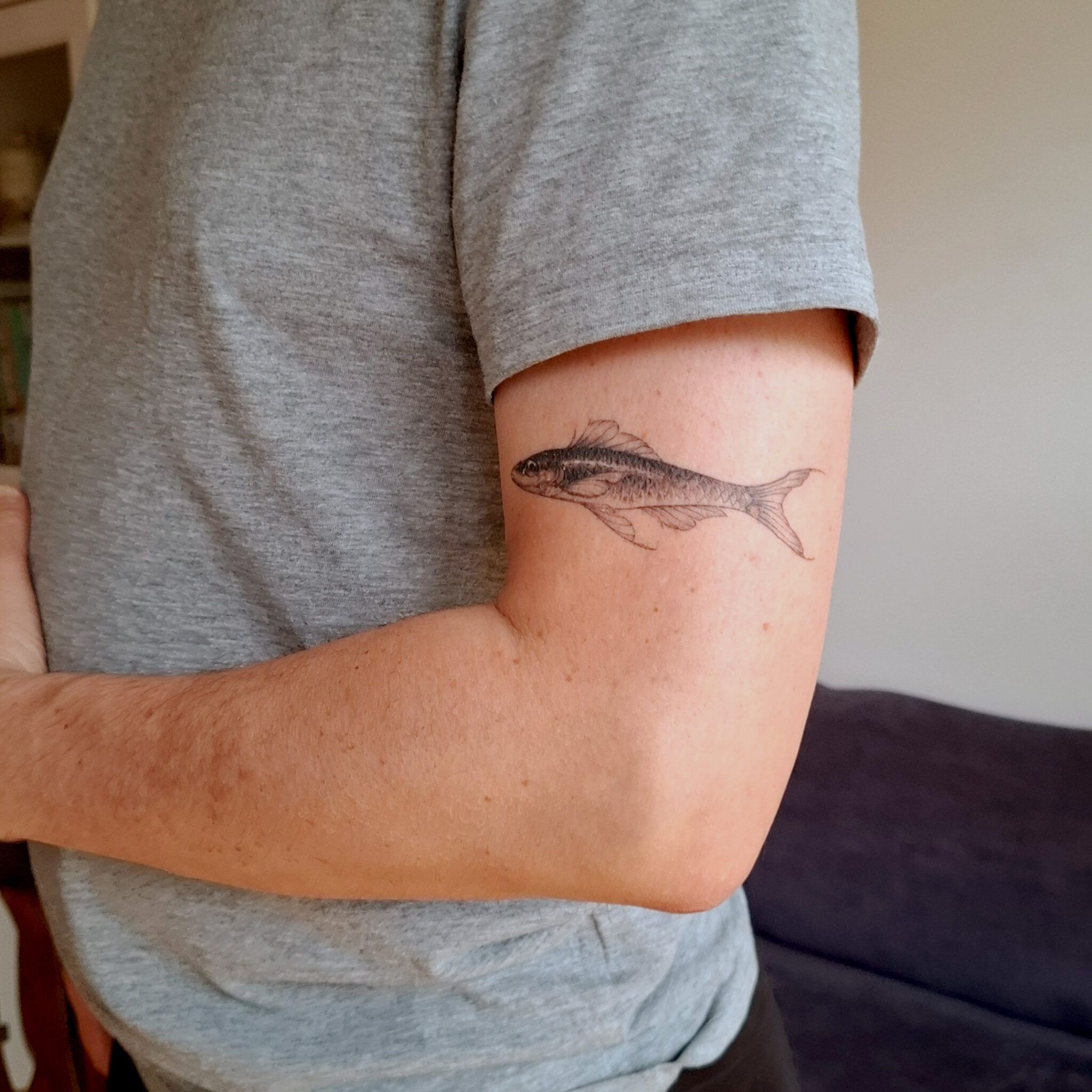 Fisch